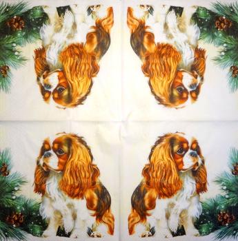 919 Dogs - 3-ply - Specials